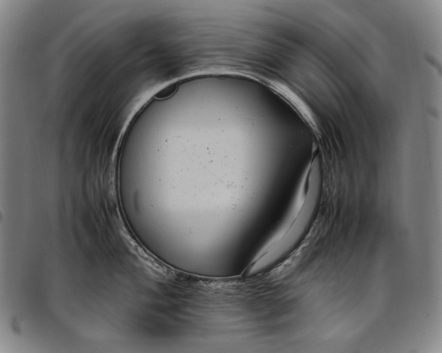 X0000096671004200802191325
