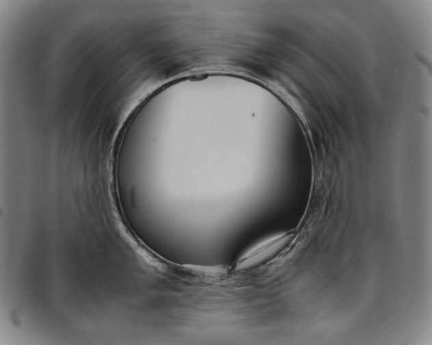 X0000096671005200802191325
