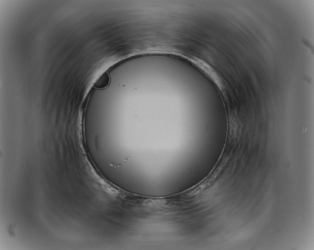 X0000096671006200802191325