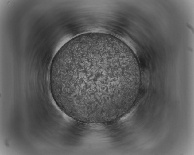 X0000096671007200802191325