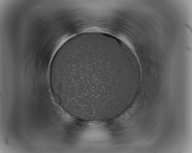 X0000096671008200802191325