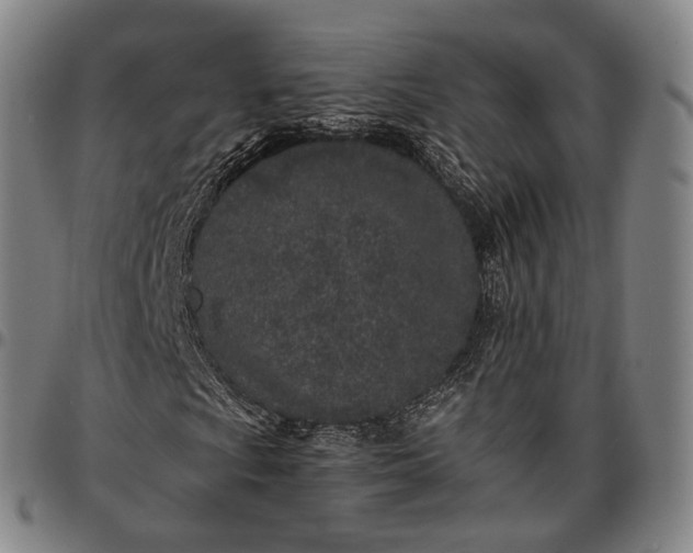 X0000096671009200802191324