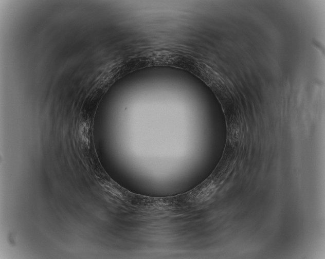 X0000096671010200802191324