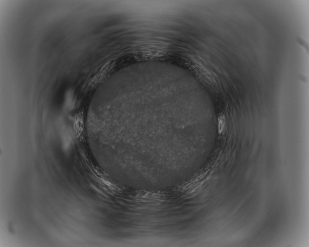 X0000096671011200802191324
