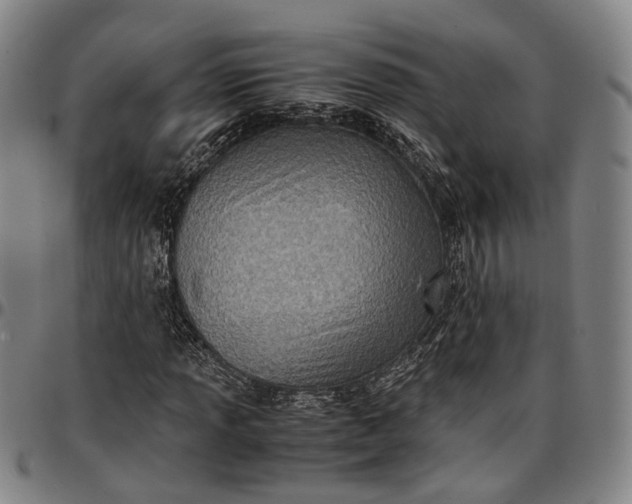 X0000096671013200802191325