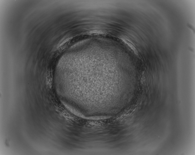 X0000096671015200802191325