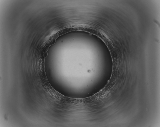X0000096671016200802191325