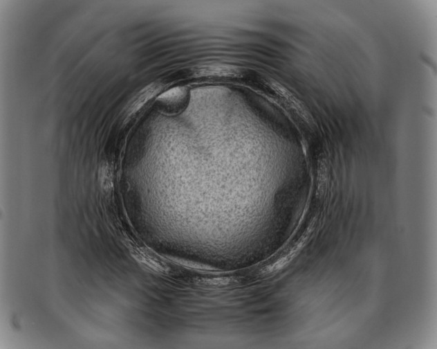 X0000096671017200802191325
