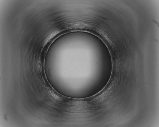 X0000096671018200802191325