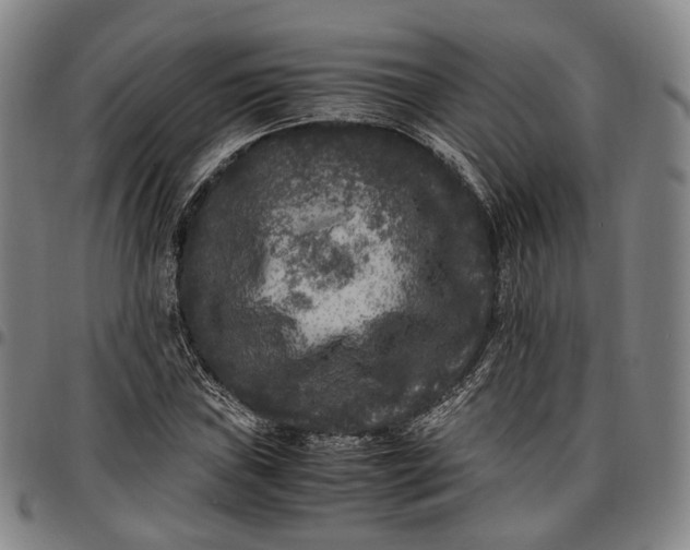 X0000096671019200802191325
