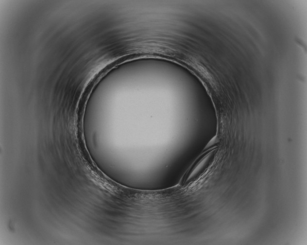 X0000096671020200802191325