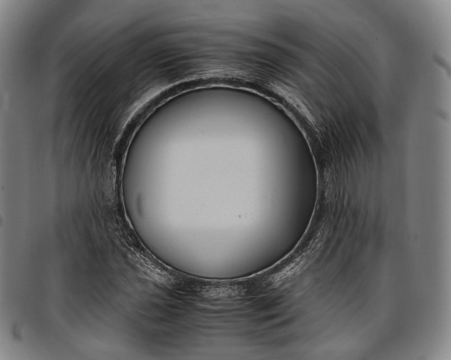 X0000096671021200802191325