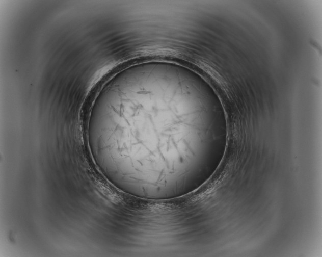 X0000096671022200802191325