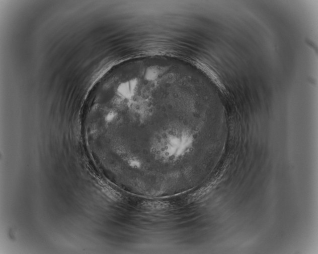 X0000096671023200802191325