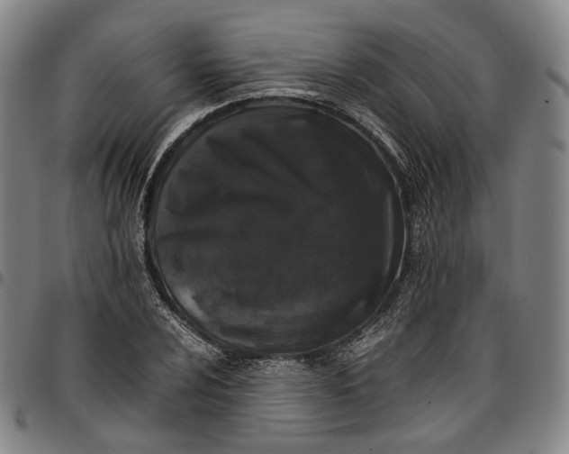 X0000096671024200802191325