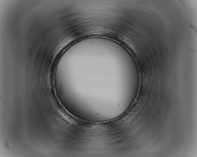 X0000096671026200802191325
