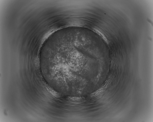 X0000096671027200802191325