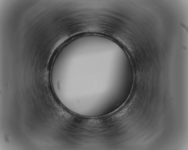 X0000096671029200802191325