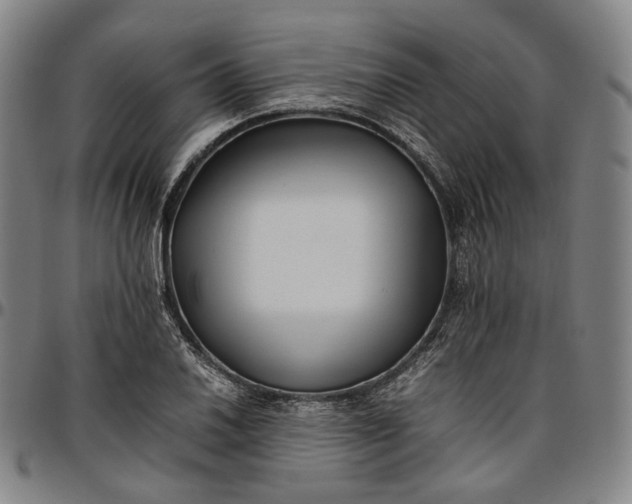 X0000096671030200802191325
