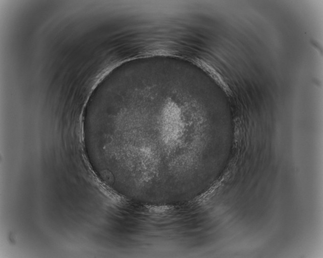 X0000096671031200802191325