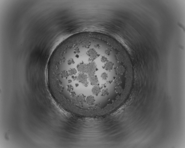 X0000096671032200802191325