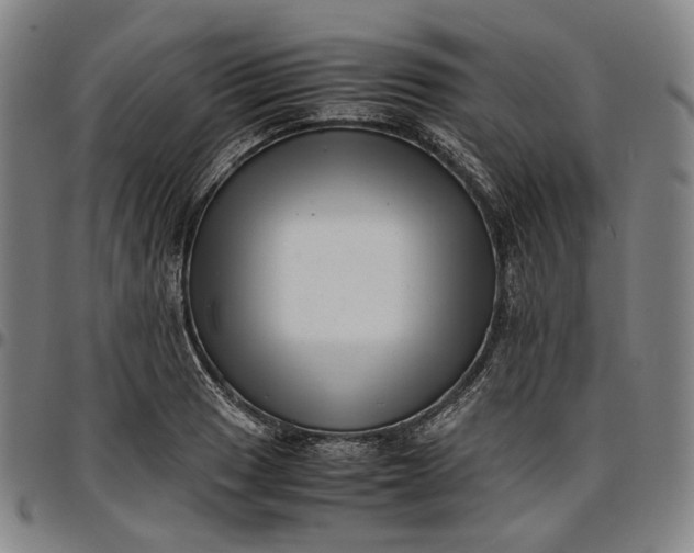 X0000096671033200802191325