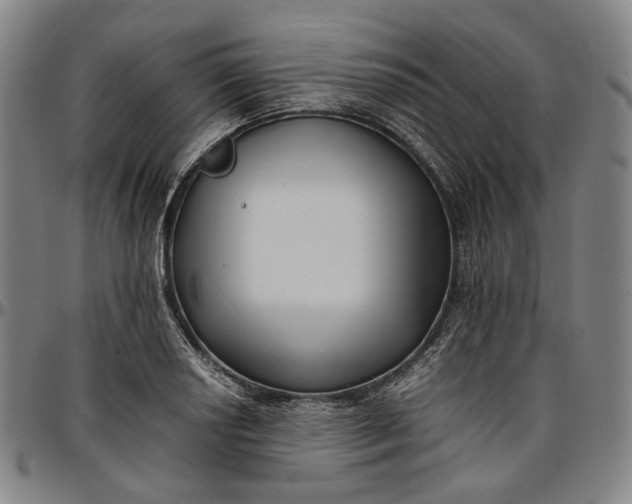 X0000096671034200802191325