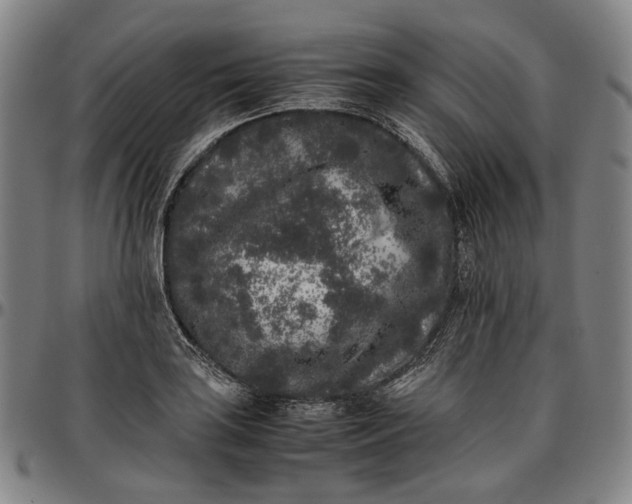 X0000096671035200802191325