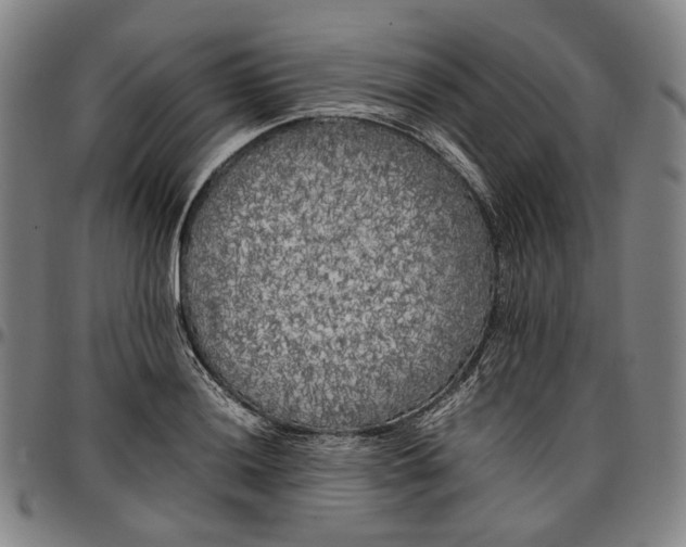 X0000096671036200802191325
