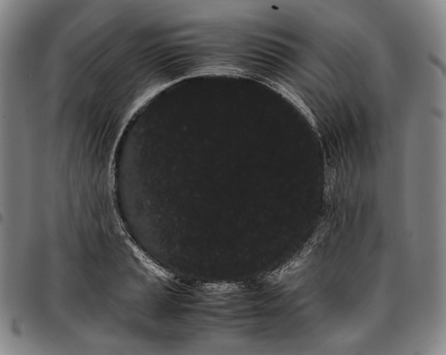 X0000096671037200802191325