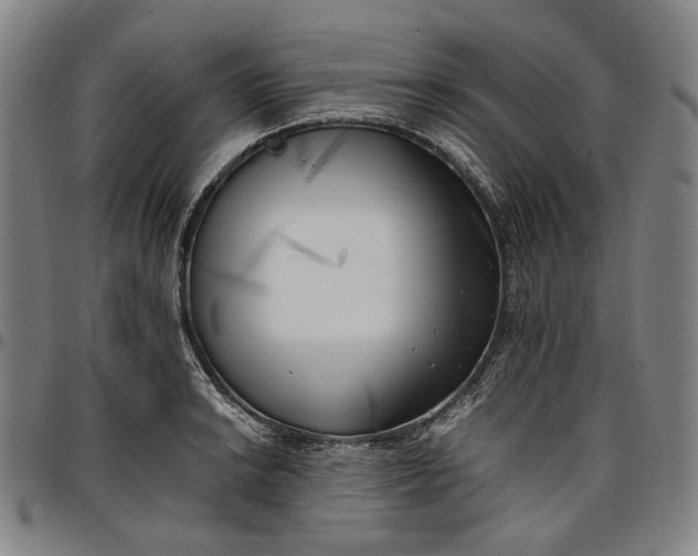 X0000096671038200802191325