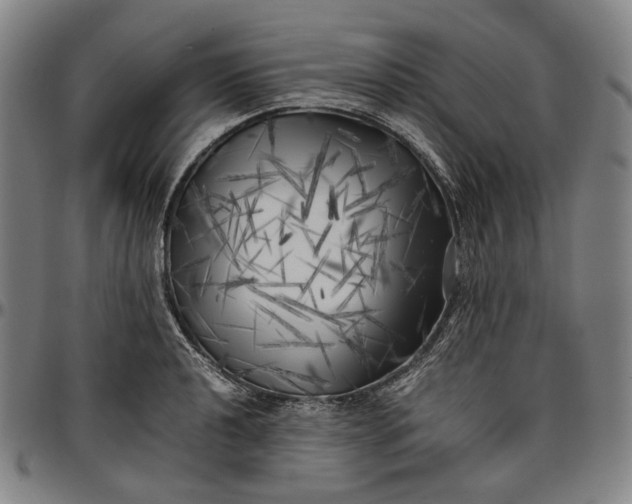 X0000096671040200802191325