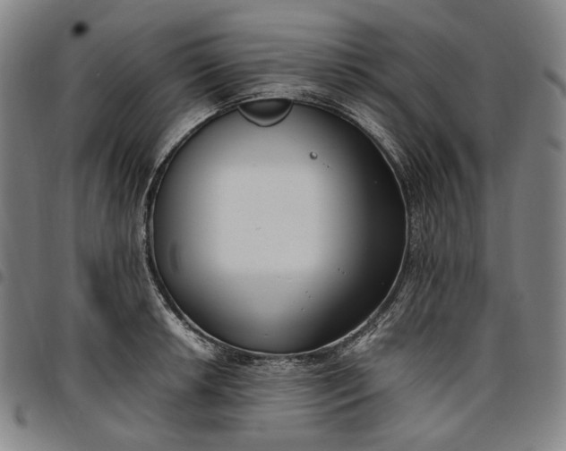 X0000096671042200802191325