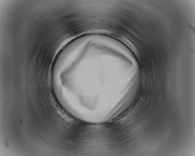 X0000096671044200802191325
