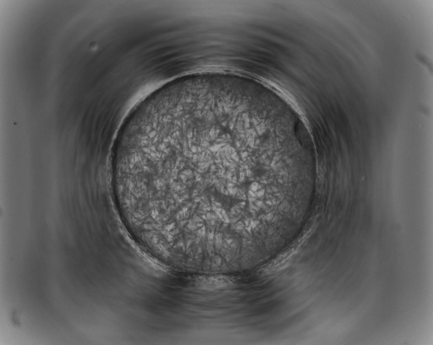 X0000096671045200802191325