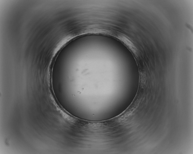 X0000096671046200802191325