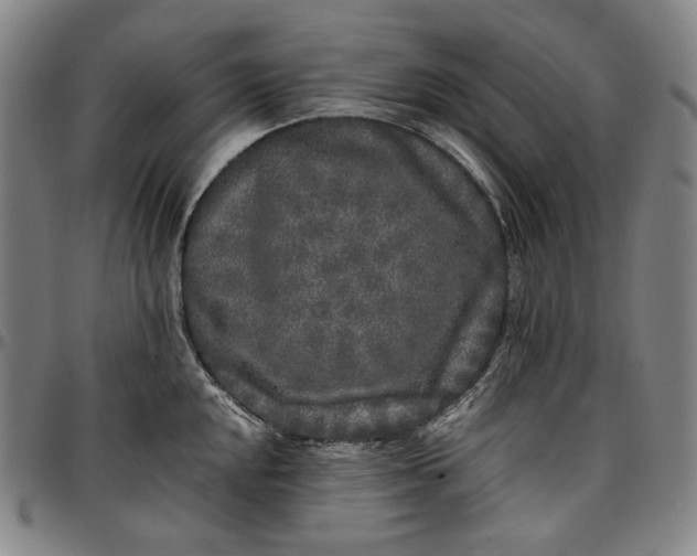 X0000096671048200802191325
