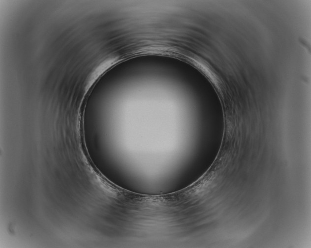 X0000096671050200802191325