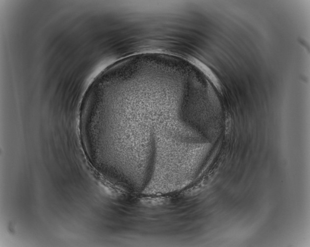 X0000096671051200802191325