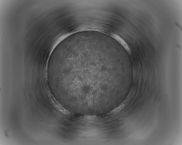 X0000096671052200802191325