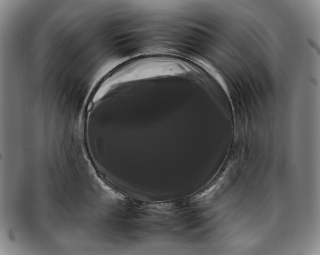 X0000096671053200802191325