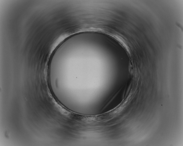X0000096671054200802191325
