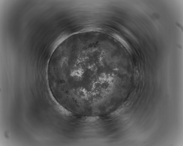 X0000096671055200802191325