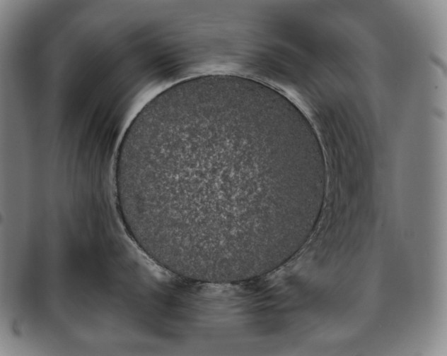 X0000096671056200802191325