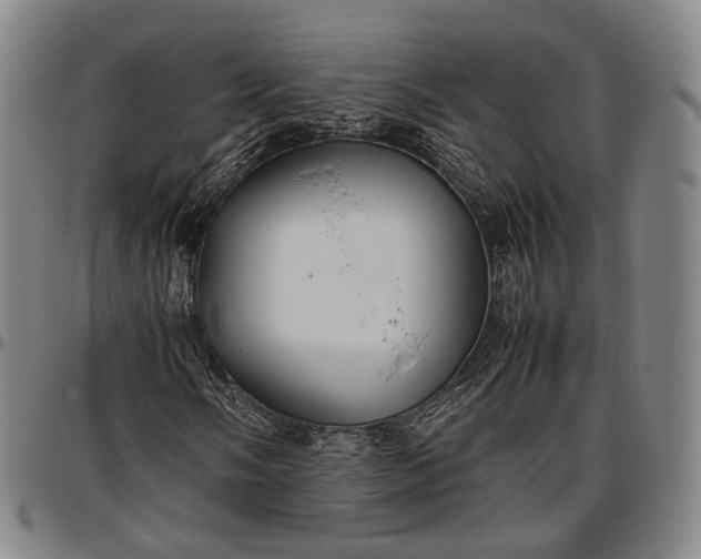 X0000096671058200802191324