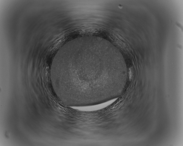X0000096671059200802191324