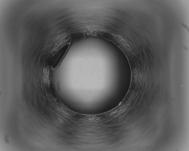 X0000096671060200802191324