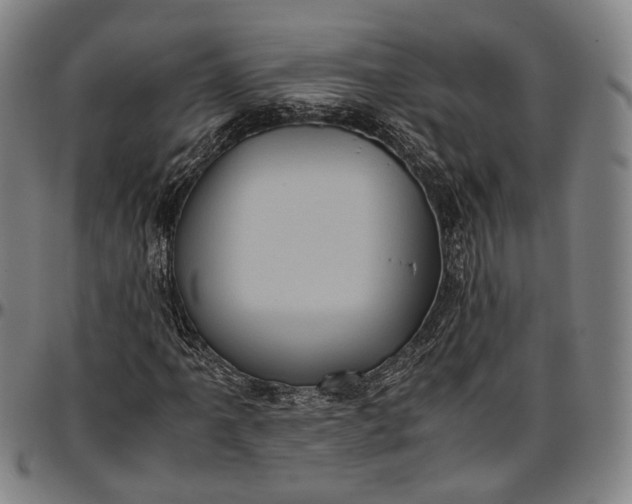 X0000096671061200802191324