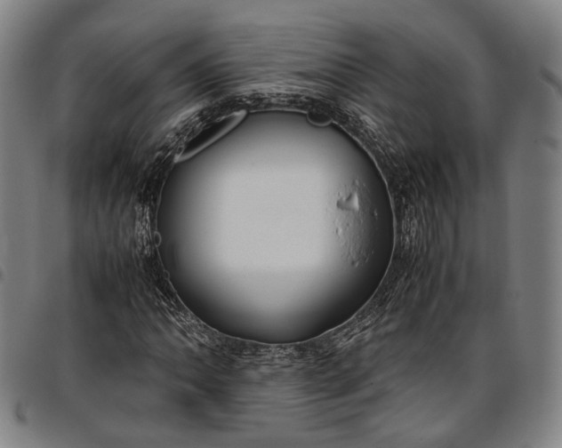 X0000096671062200802191324