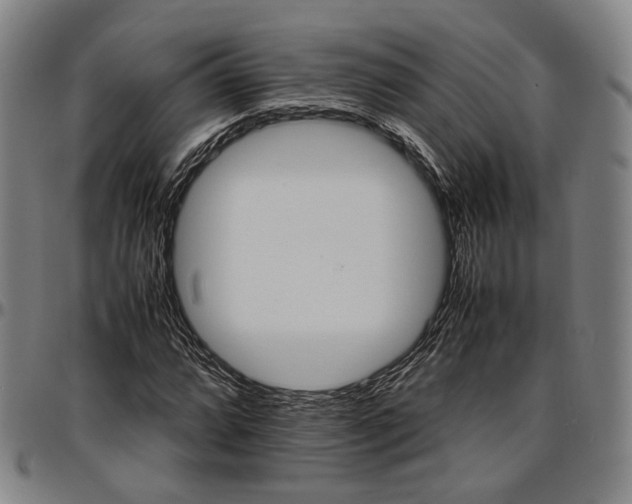 X0000096671064200802191324